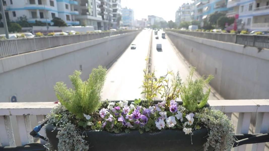 Antalya’ya Kış 4 Milyon Çiçekle Rengarenk Gelecek! 5